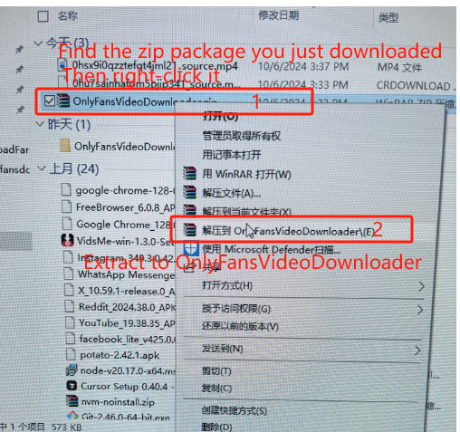 extract the plugin file